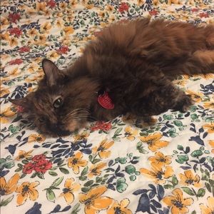 Meet your Posher, Melanie